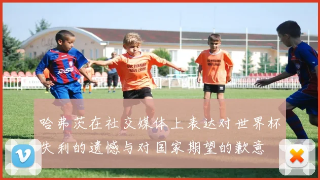 哈弗茨在社交媒体上表达对世界杯失利的遗憾与对国家期望的歉意
