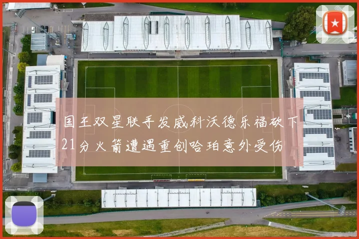 国王双星联手发威科沃德乐福砍下21分火箭遭遇重创哈珀意外受伤