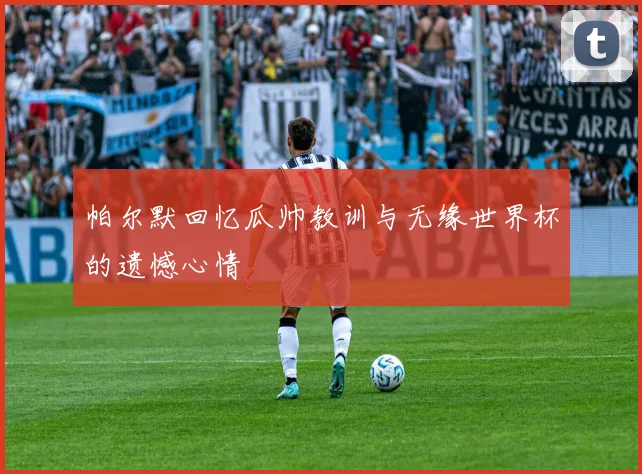 帕尔默回忆瓜帅教训与无缘世界杯的遗憾心情